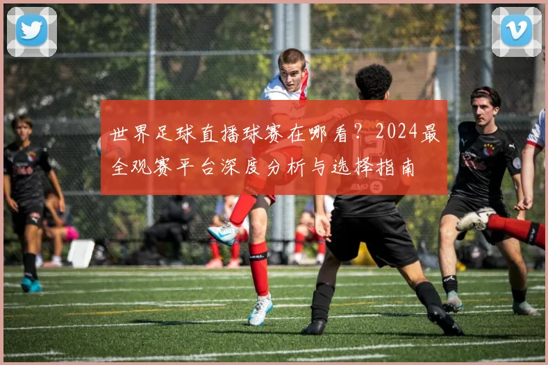 世界足球直播球赛在哪看?2024最全观赛平台深度分析与选择指南
