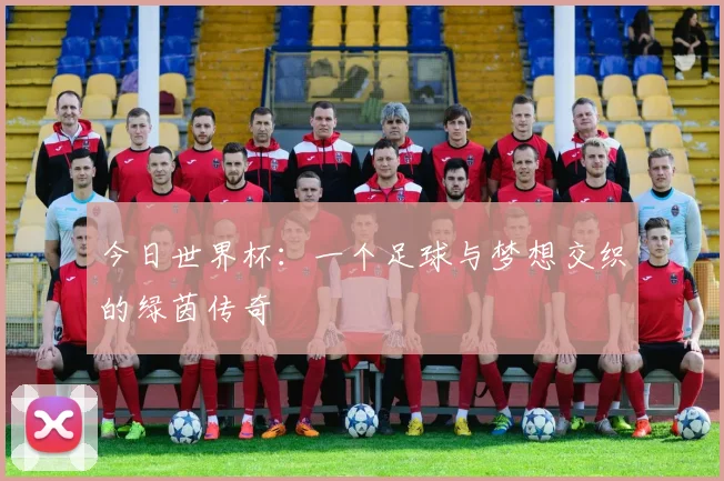 今日世界杯：一个足球与梦想交织的绿茵传奇
