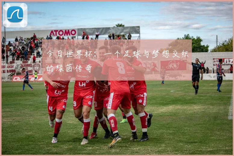 今日世界杯：一个足球与梦想交织的绿茵传奇