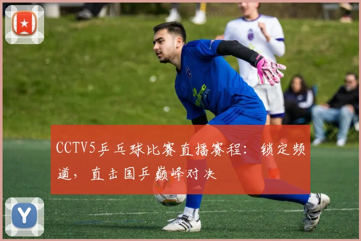 CCTV5乒乓球比赛直播赛程：锁定频道，直击国乒巅峰对决